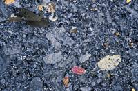 Latite à augite et olivine LPA x3,5